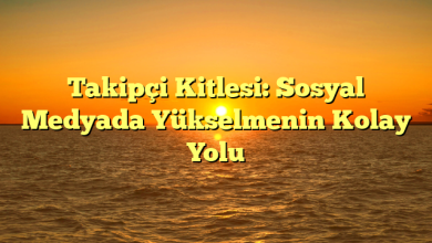 Takipçi Kitlesi: Sosyal Medyada Yükselmenin Kolay Yolu